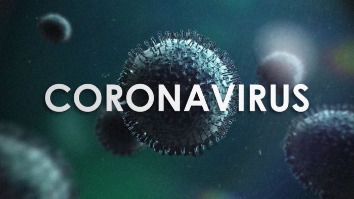 Coronavirus graphic with text: "coronavirus."