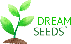Dream Seeds Logo