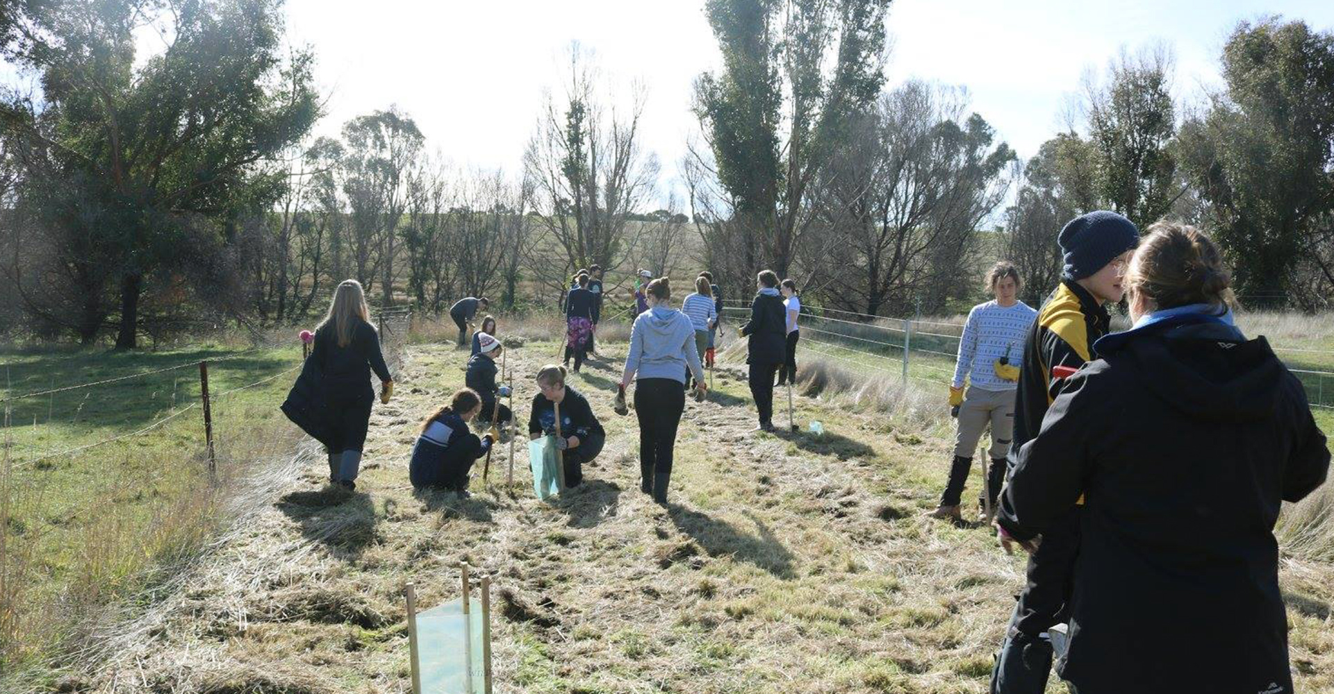 Young Rural Leaders program participants planting trees in nature.