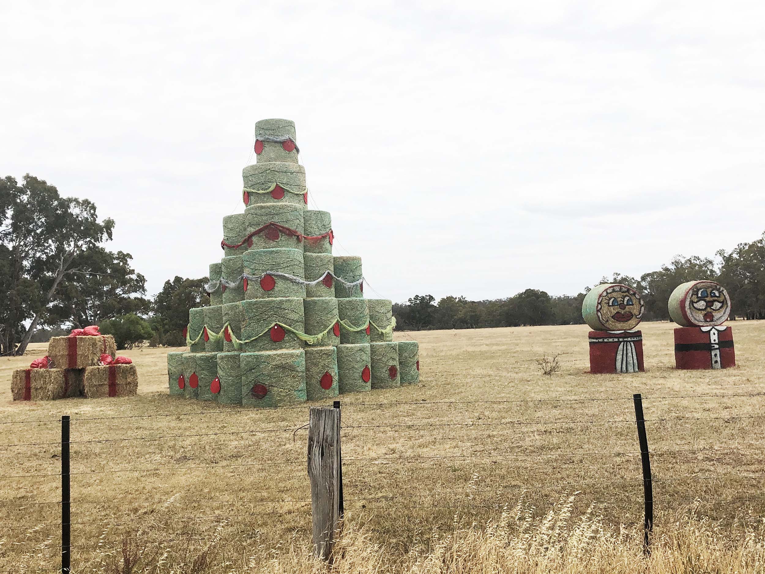 Cristmans Newstead coloured hay bales to decorated in Christmas colours.