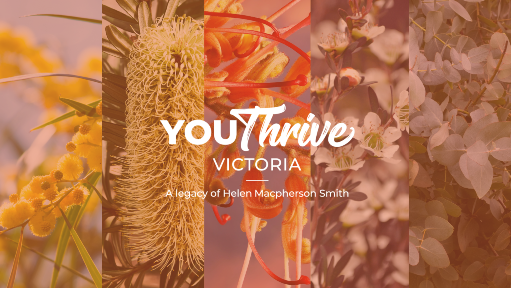 Youthrive Giving Tree Campaign